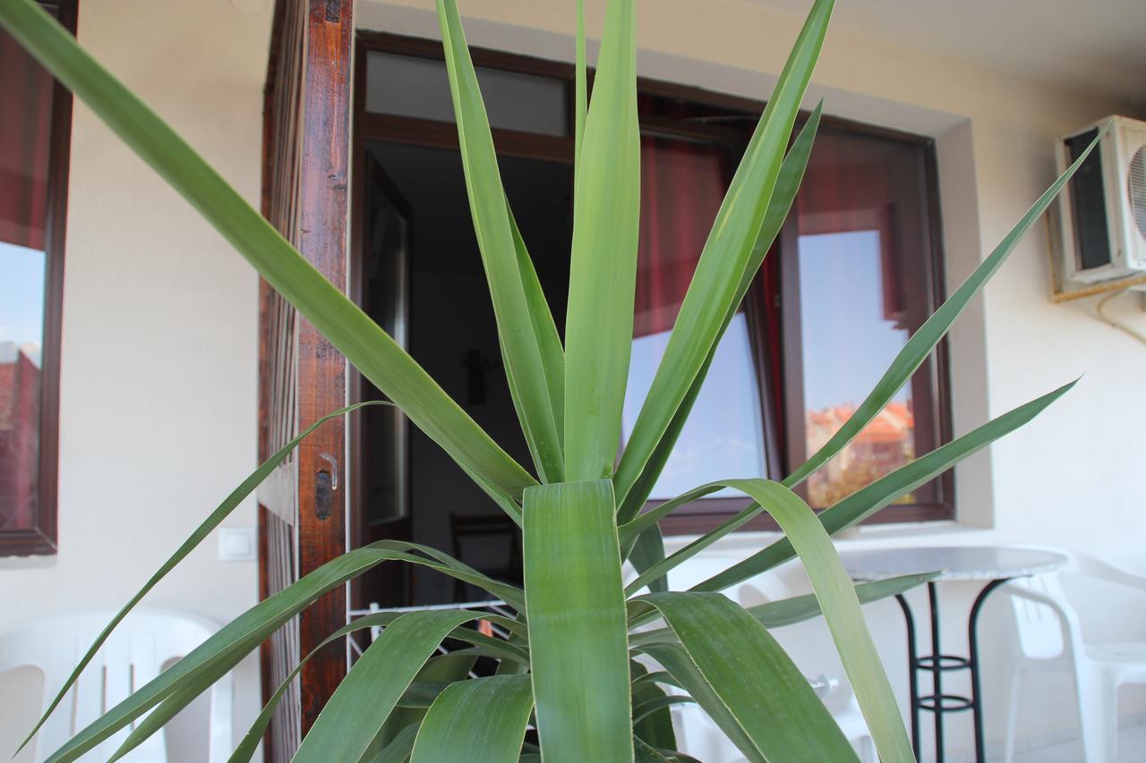 Yankov'S House Hotel Sozopol Buitenkant foto